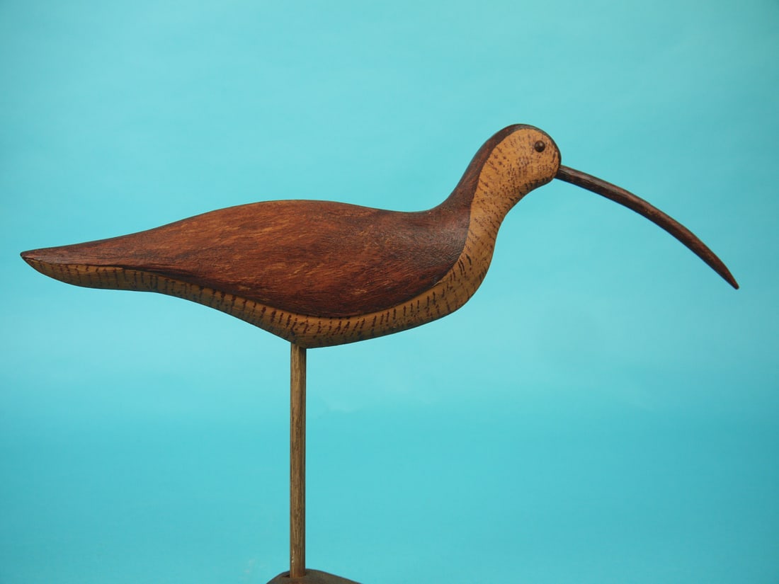 DECORATIVE CURLEW - 2