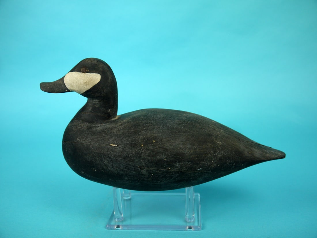 RUDDY DUCK, UNKNOWN CARVER: RUDDY DUCK, unknown carver. Working paint and good structural condition. Tight check in tail and rear. Retains rusted tack eyes, u-nail and weight. Overall length is approximately 11 1/2 inches. 50-75