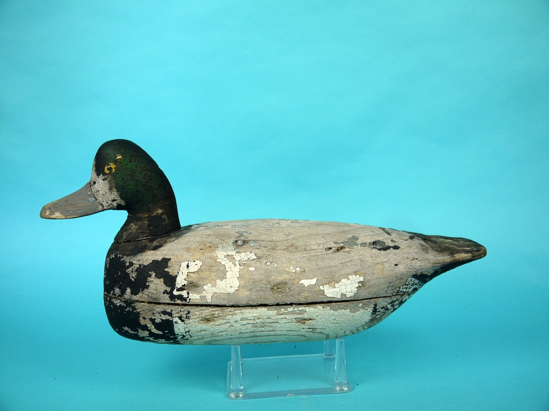 BROADBILL DRAKE, R. CORLIES (1 of 4)