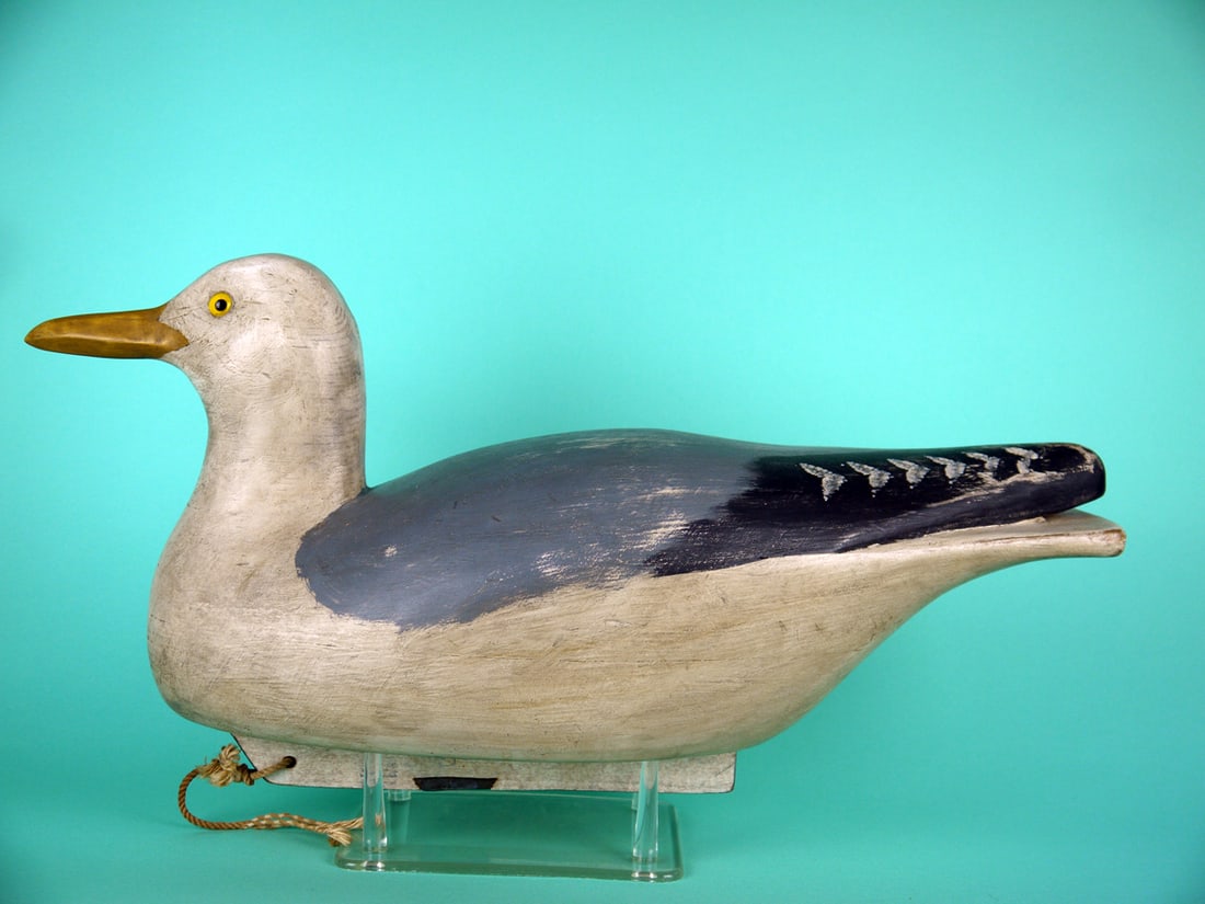 HERRING GULL, B. BIDDLE: HERRING GULL by Bob Biddle, Media, PA. Confidence decoy in good original paint and structural condition with light gunning wear. Hollow construction. Raised wing tip carving. Retains full weighted kee
