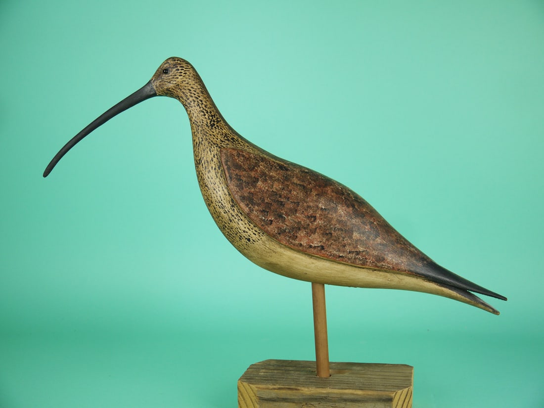 CURLEW, B. BIEBER (1 of 4)