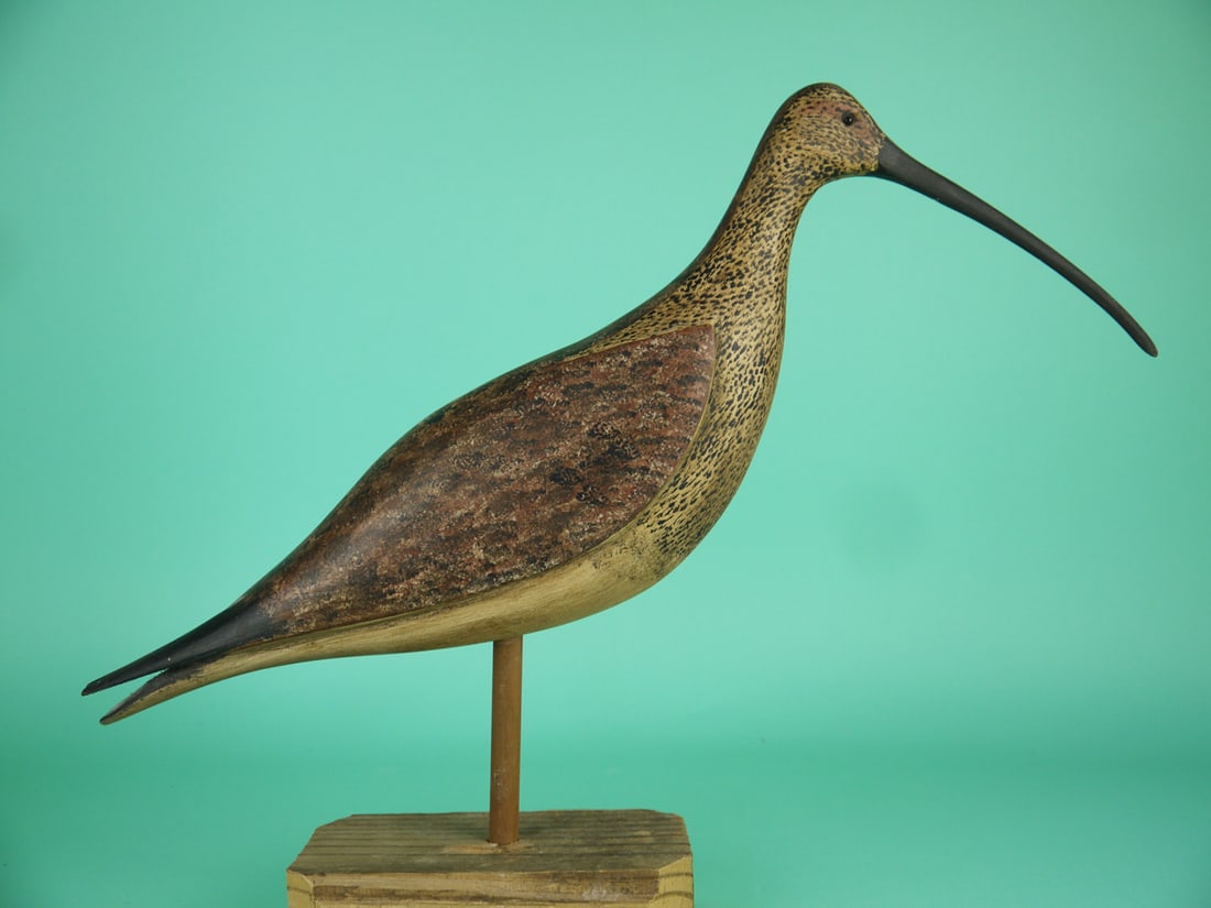CURLEW, B. BIEBER - 2