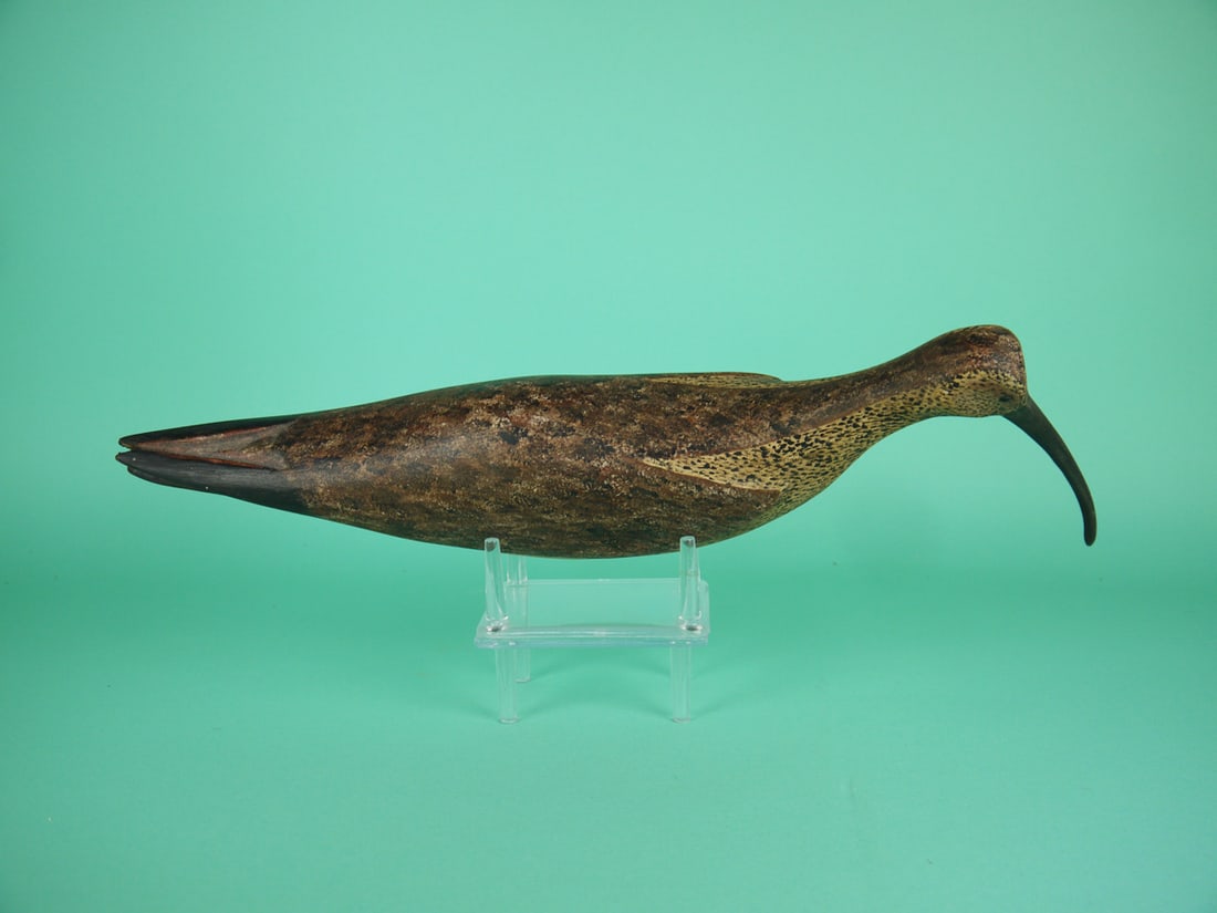 CURLEW, B. BIEBER - 3