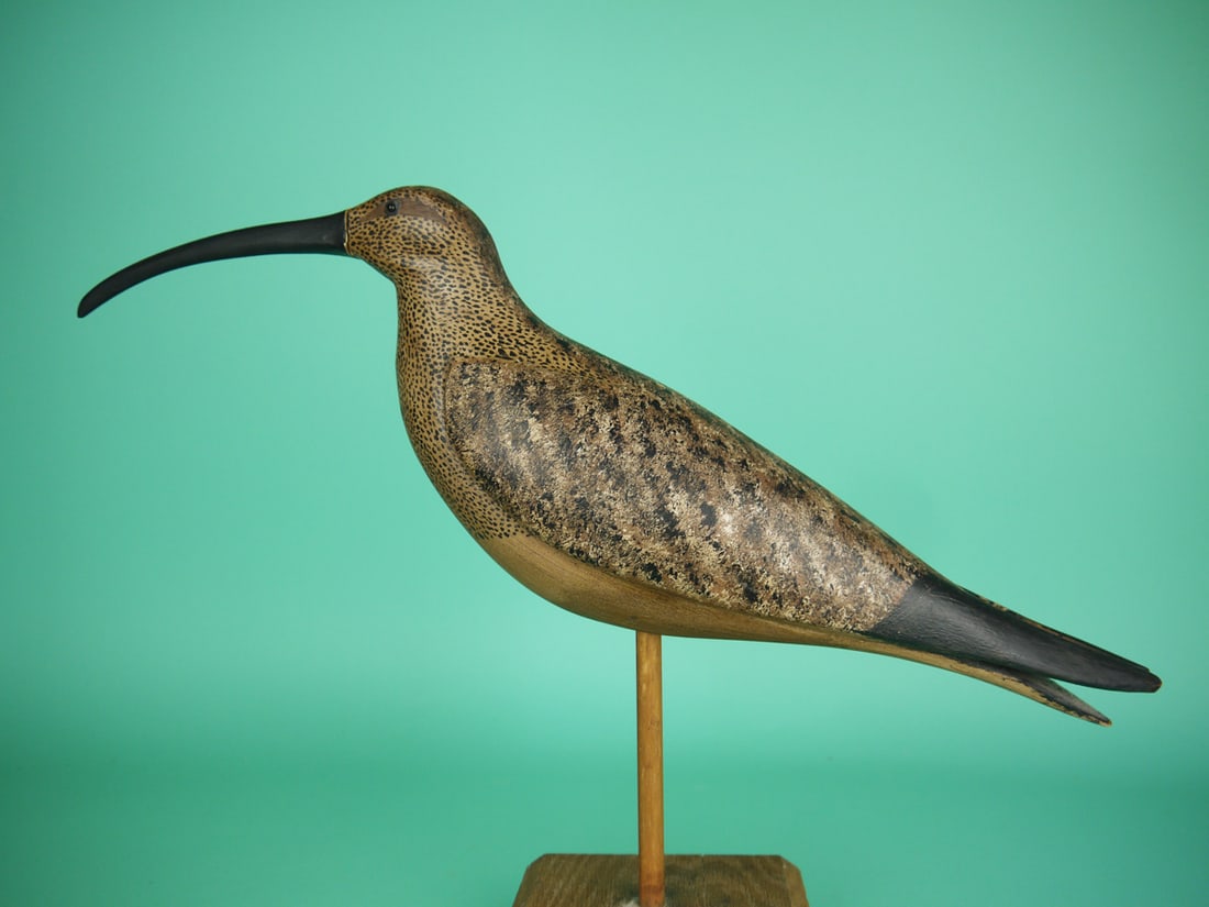 CURLEW, B. BIEBER (1 of 4)
