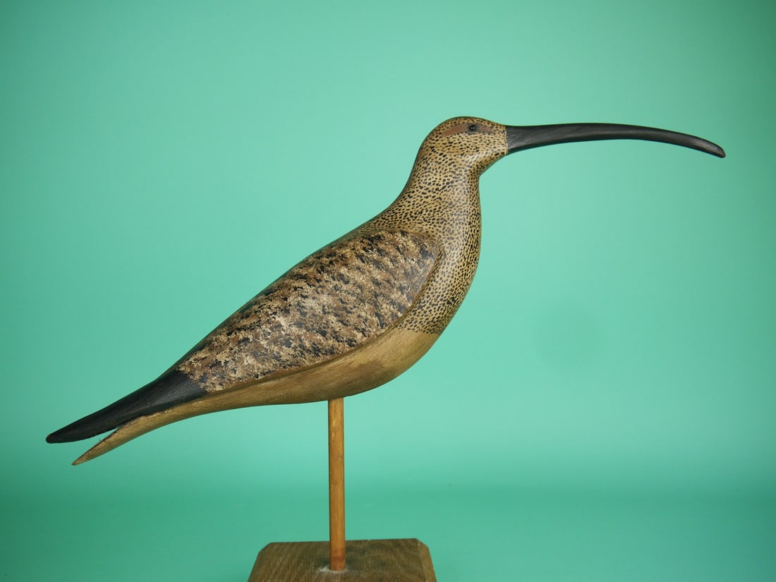 CURLEW, B. BIEBER - 2
