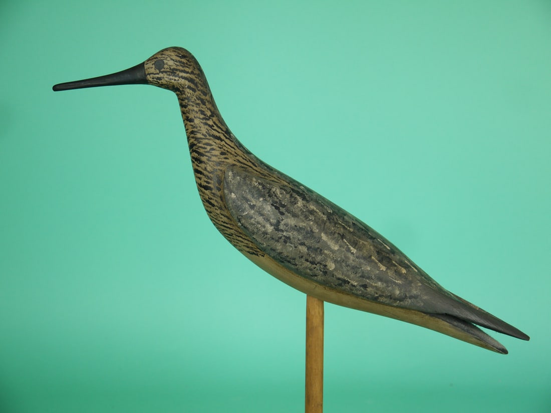 YELLOWLEGS, B. BIEBER (1 of 4)