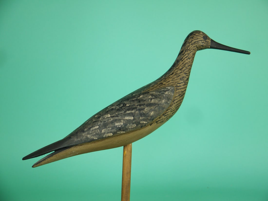 YELLOWLEGS, B. BIEBER - 2