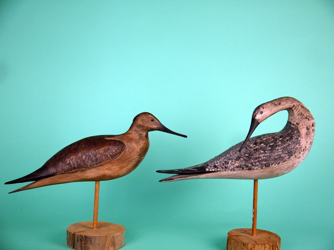 TWO SHOREBIRDS, B. BIEBER (1 of 4)