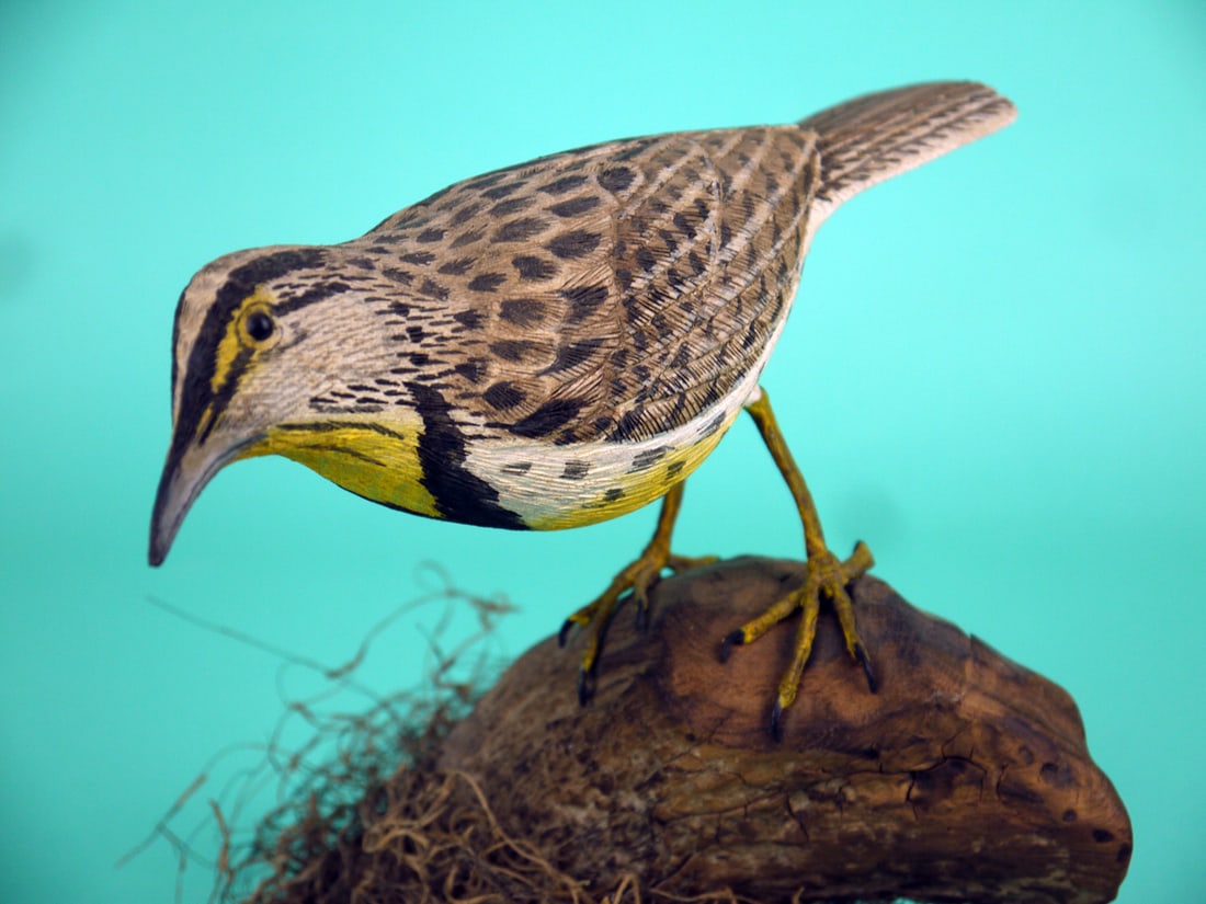 MEADOW LARK: FINE MEADOW LARK. Very good original paint and structural condition. Very detailed carved and painted feather detail overall. Wide fluted tail carving. Retains bead eyes and beak with carved detail.