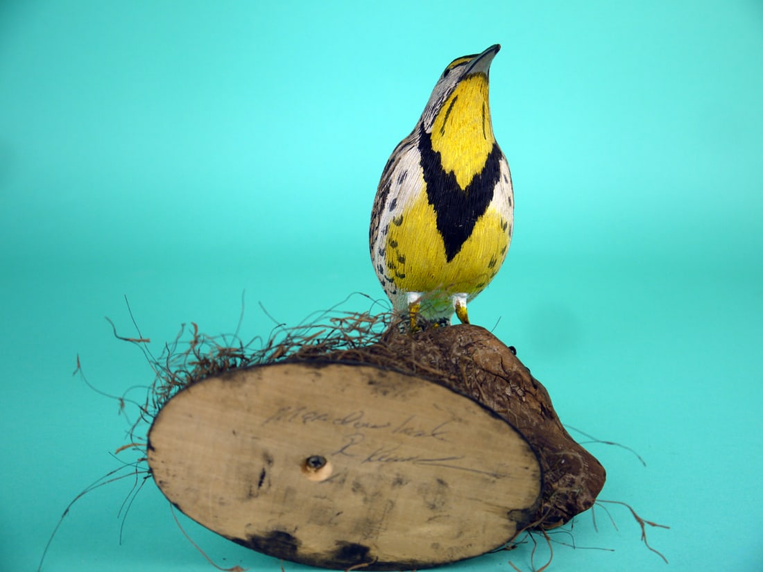 MEADOW LARK - 3