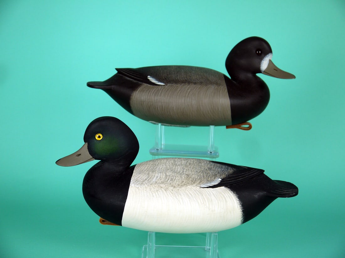 BLUEBILL PAIR, F.C. BROWN, JR. (1 of 4)