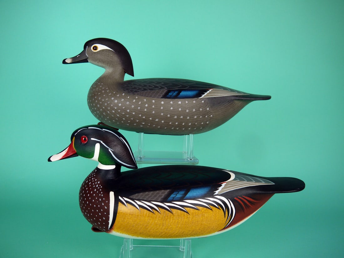 WOOD DUCK PAIR, R.C. BROWN, JR. (1 of 4)