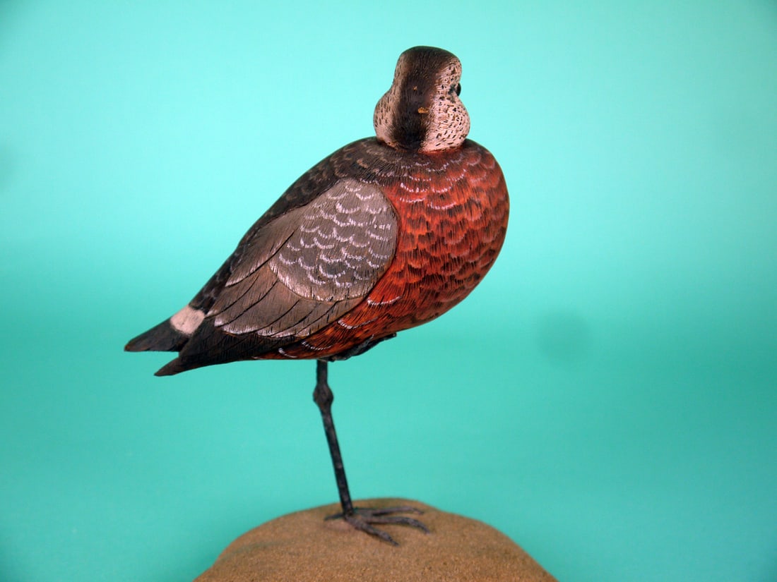 GODWIT, H. BUCKWALTER: FINE GODWIT by Harold R. Buckwalter, Lancaster, PA. Excellent original paint and structural condition. Very detailed feather paint and carving overall. Relief-carved wings with extended wing tips.