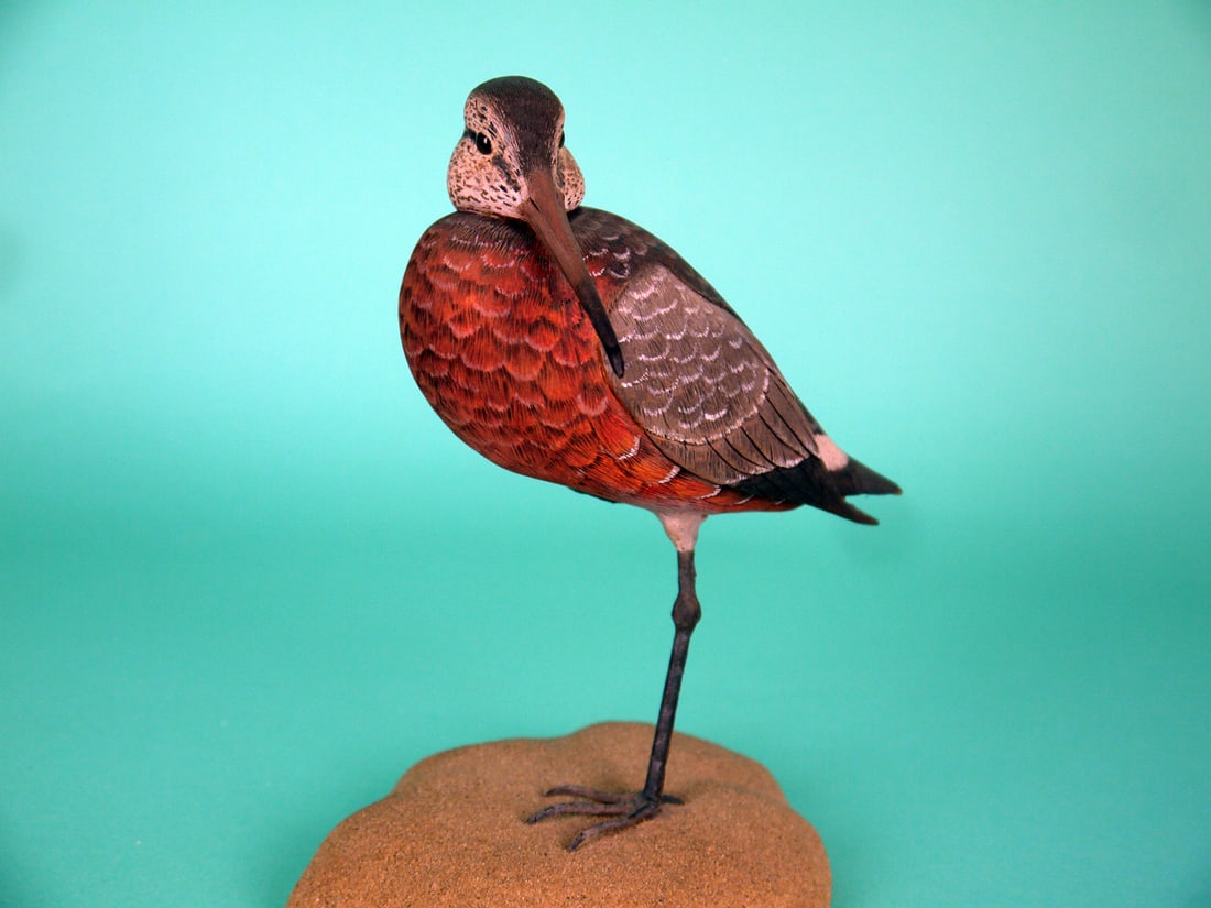 GODWIT, H. BUCKWALTER - 2