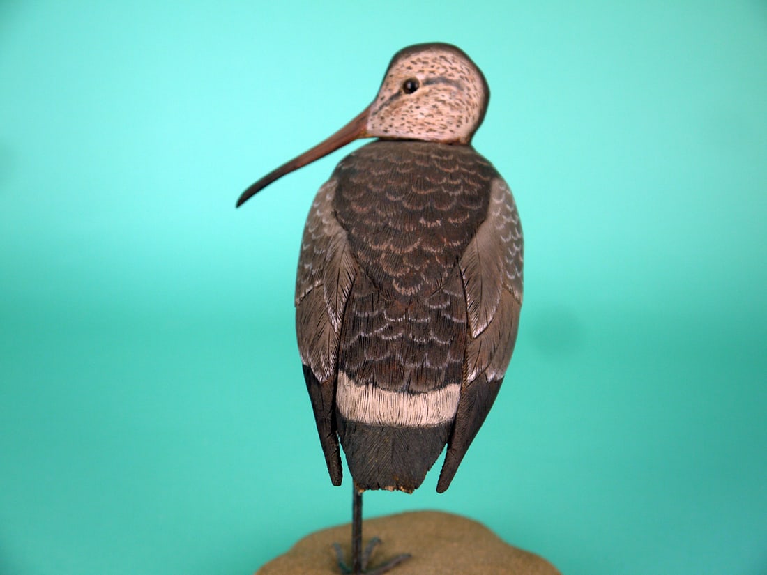 GODWIT, H. BUCKWALTER - 3