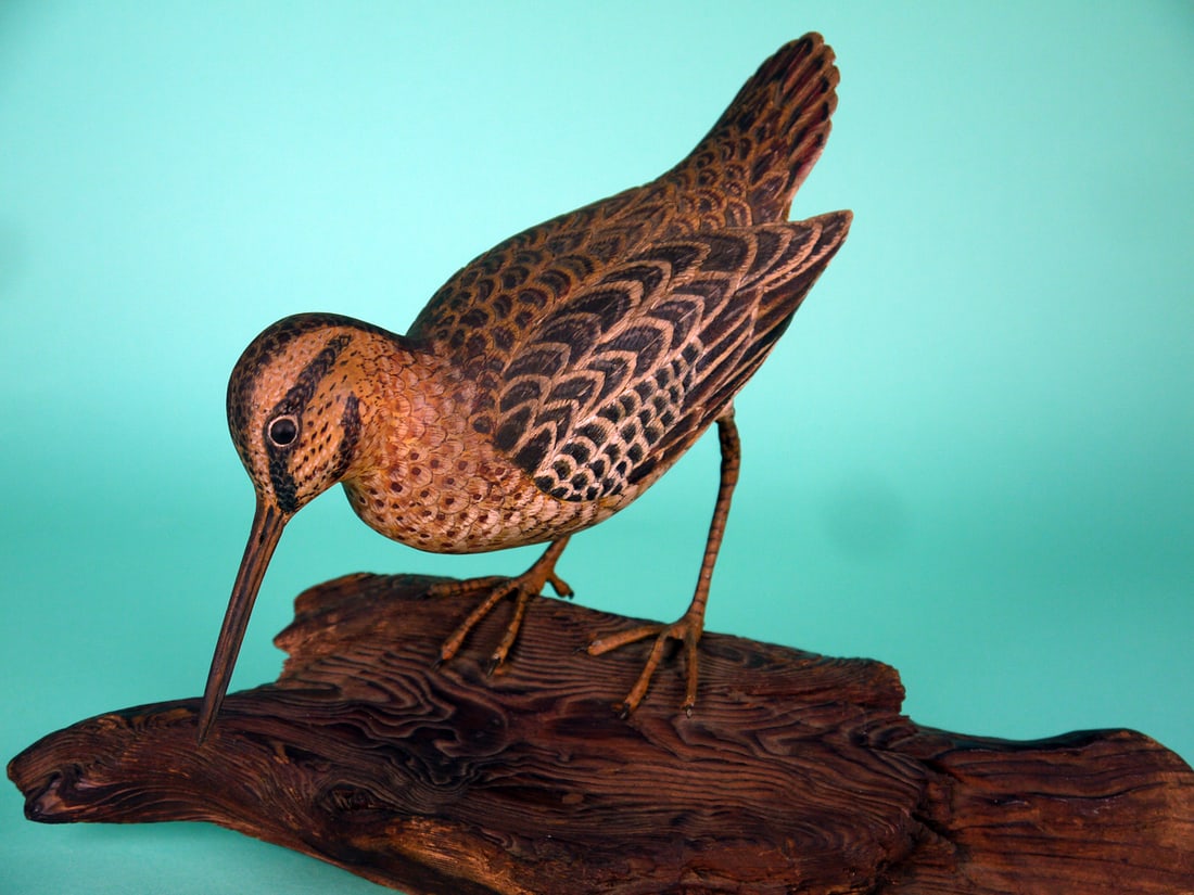WILSON'S SNIPE, T. CARLOCK: VERY FINE WILSON'S SNIPE by Thomas Carlock, Fair Haven, NJ. Excellent original paint and structural condition. Feeding model with very intricate feather paint overall. Very detailed feather carving