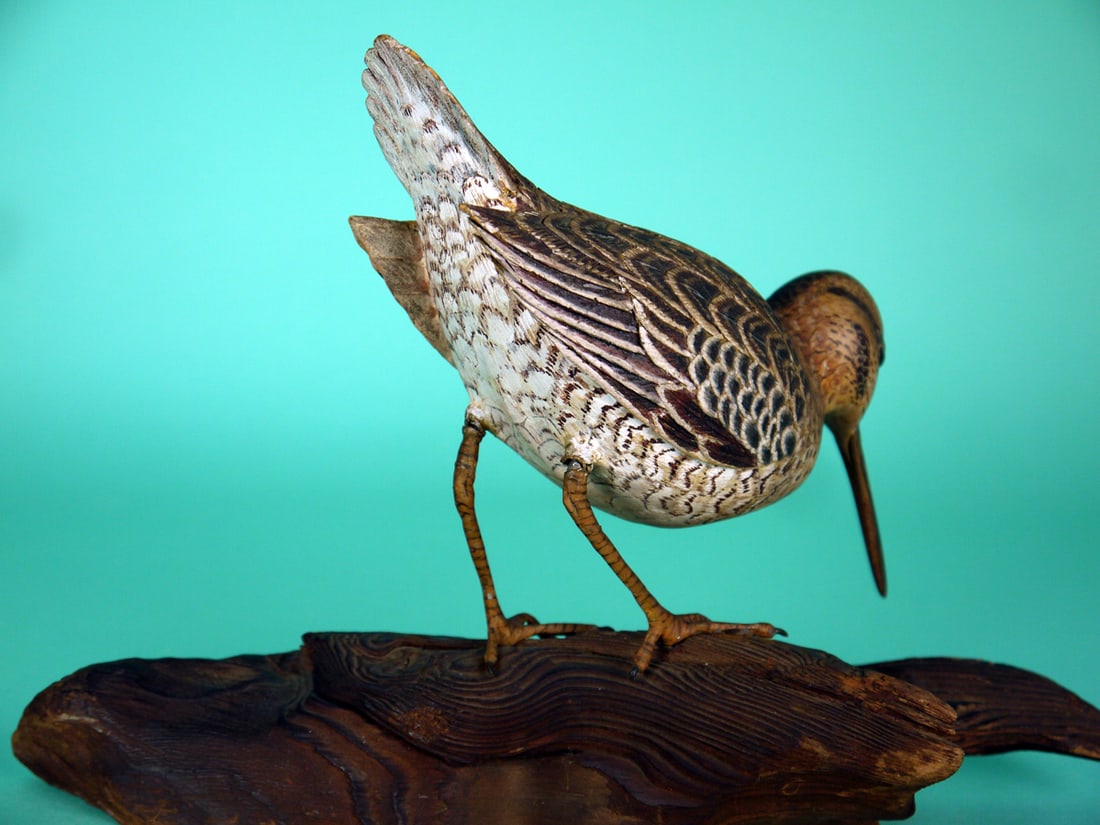 WILSON'S SNIPE, T. CARLOCK - 2