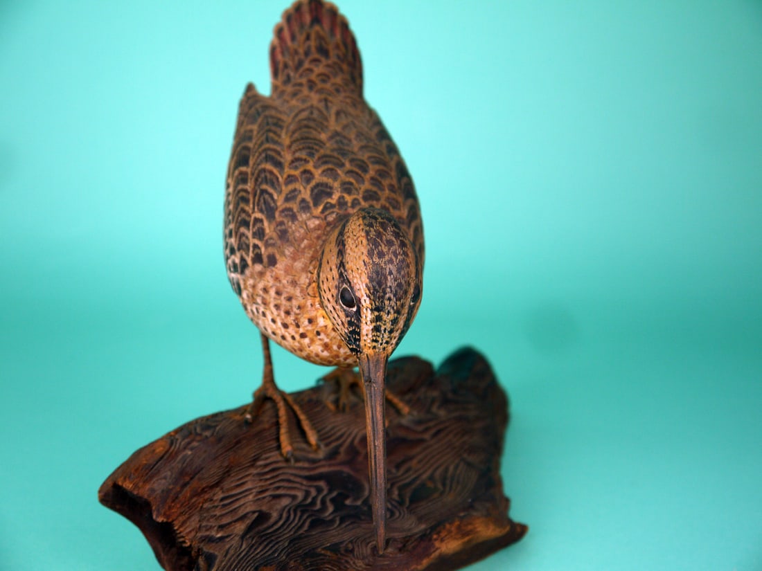 WILSON'S SNIPE, T. CARLOCK - 3