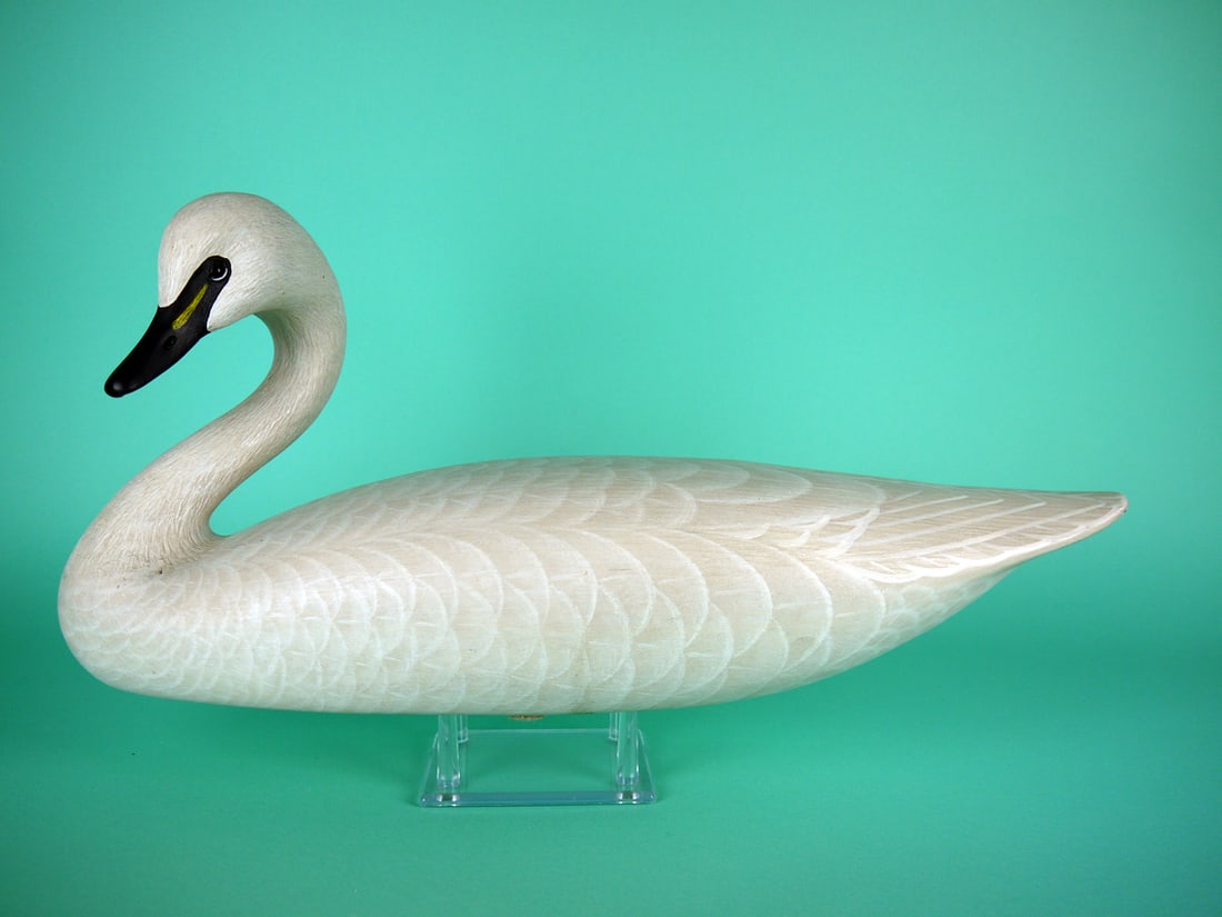 ONE-HALF SIZE WHISTLING SWAN, A.J. CARNEY: ONE-HALF SIZE WHISTLING SWAN by Armand J. Carney, Tuckerton, NJ. Excellent original paint and structural condition. Slender model with detailed painted feather work to body. Detailed carving to neck