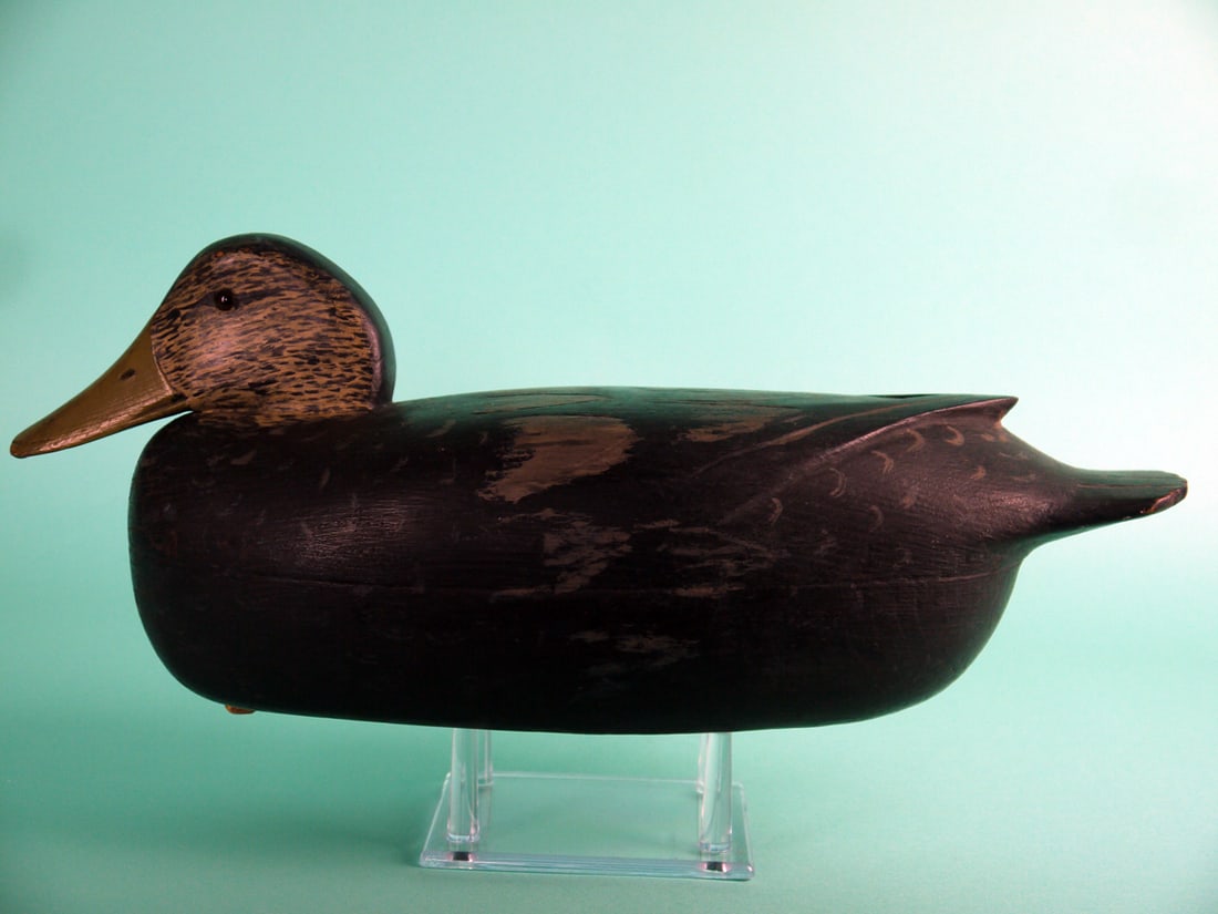 BLACK DUCK, L. MCLAUGHLIN: BLACK DUCK by Larry McLaughlin, Edgely, PA. Very good original paint and structural condition. Hollow construction. Painted and incised feather detail. Raised, carved wing tips and fluted tail. Snug h