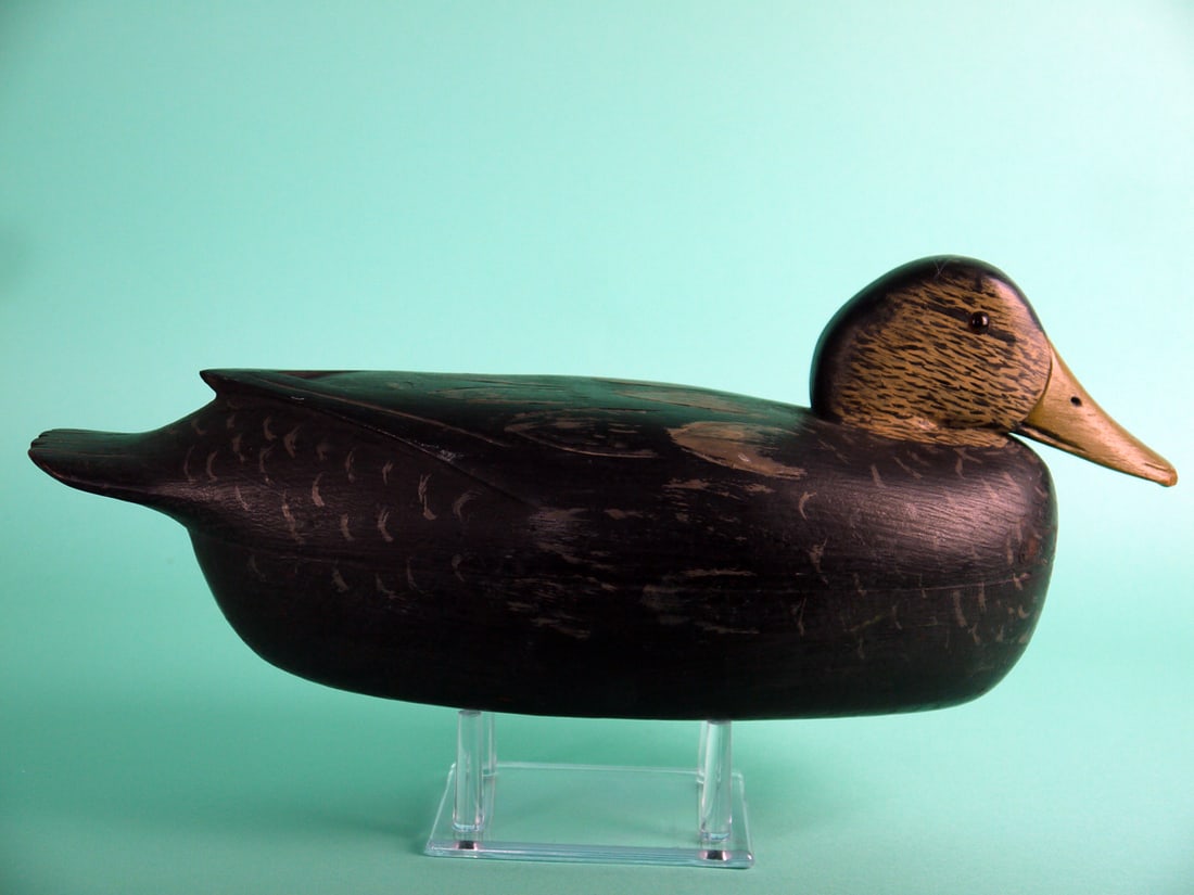 BLACK DUCK, L. MCLAUGHLIN - 2