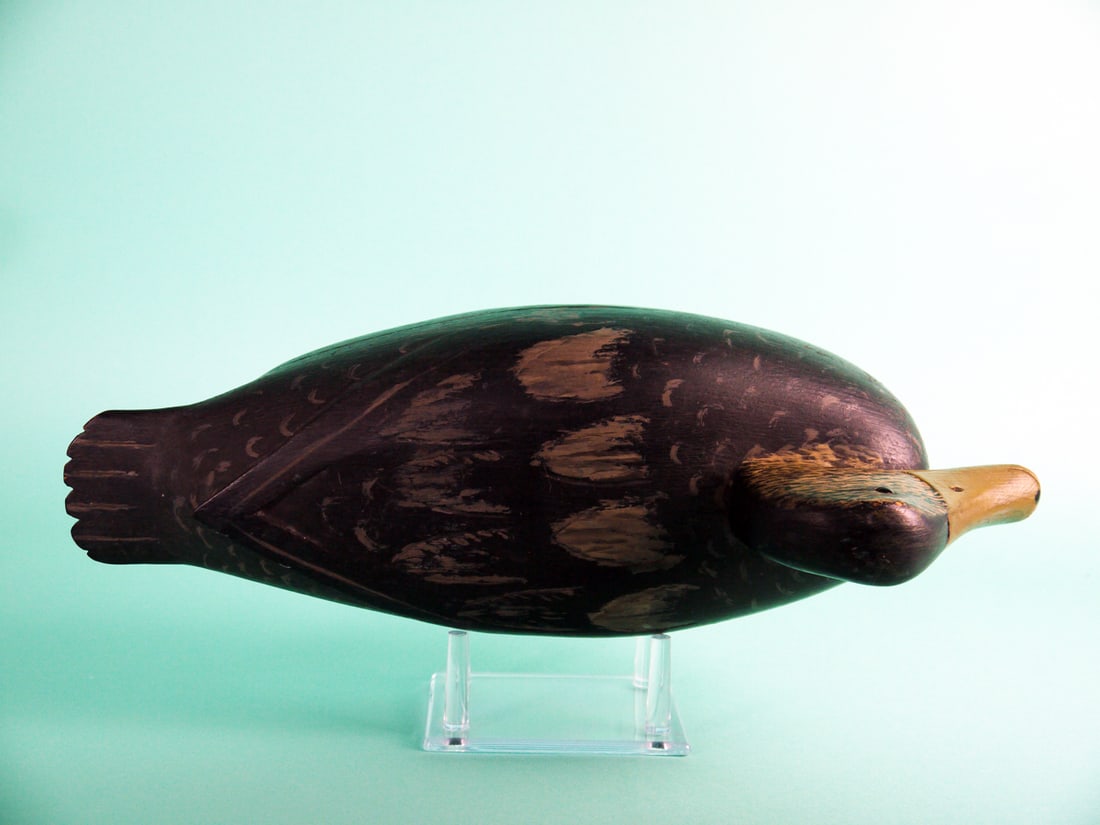 BLACK DUCK, L. MCLAUGHLIN - 3