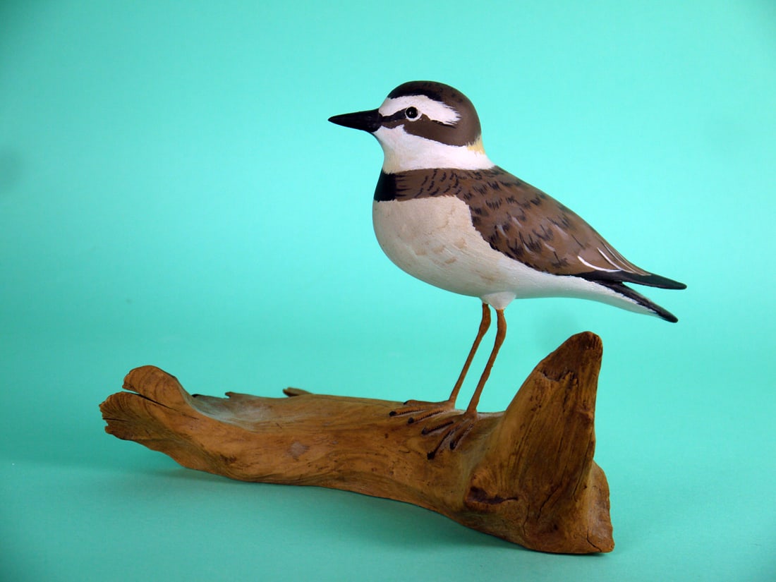 PLOVER, L. MCLAUGHLIN: PLOVER by Larry McLaughlin, Edgely, PA. Very good original paint and structural condition. Raised wing tips and split-tail carving. Mounted on wire legs atop a custom base. Signed by the maker.