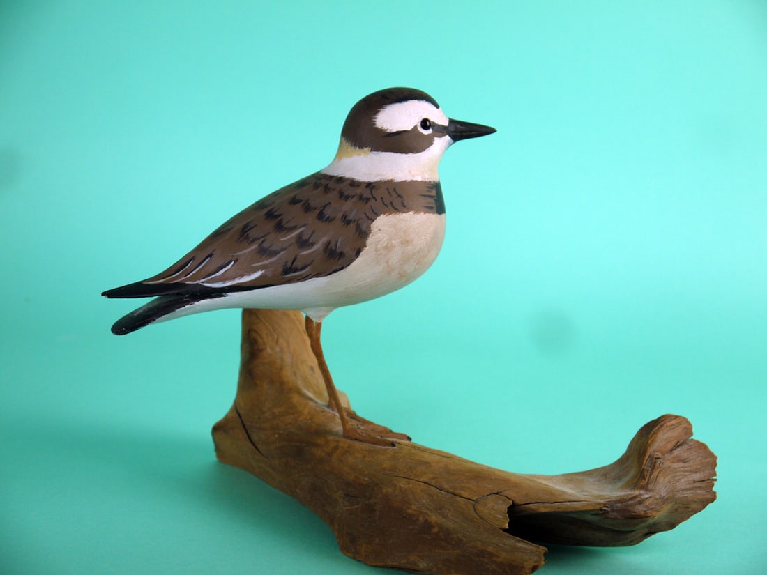 PLOVER, L. MCLAUGHLIN - 2