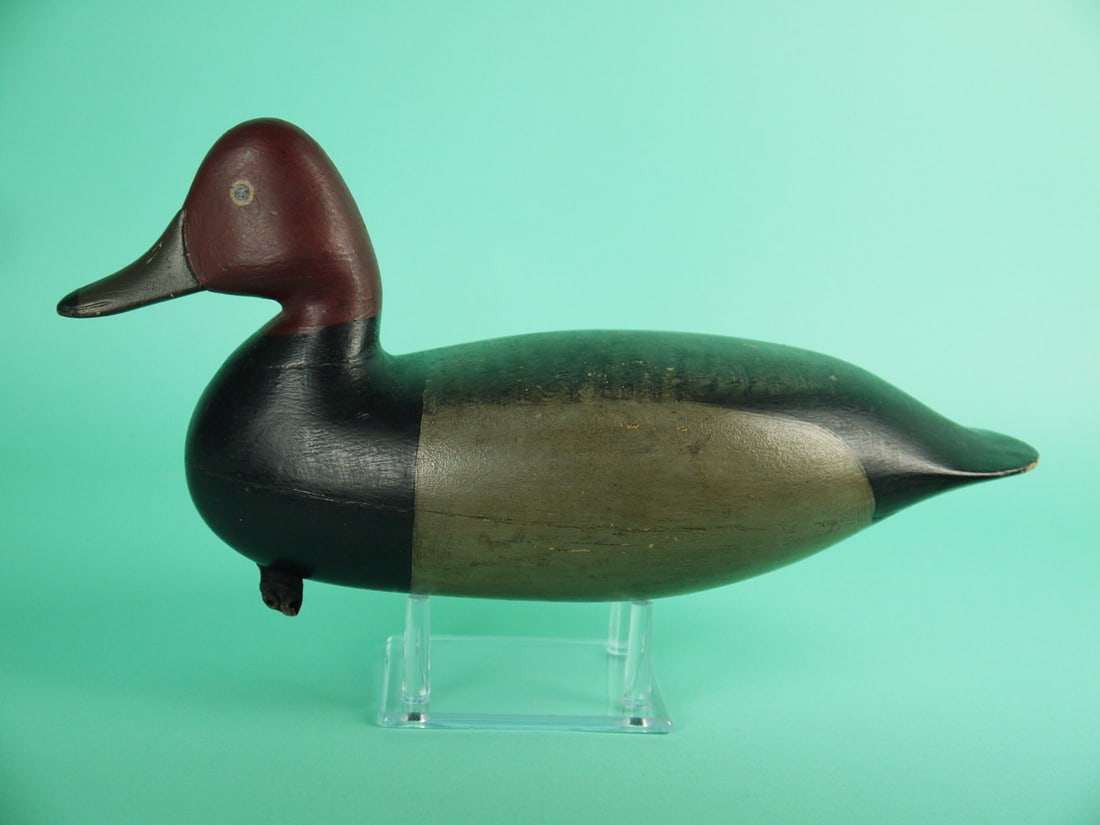 REDHEAD DRAKE, H.V. SHOURDS: REDHEAD DRAKE by Harry V. Shourds, Tuckerton, NJ. Very good restored paint and structural condition. Hollow construction. Bill with carved nostrils and mandible. Retains inlet weight and rigging.