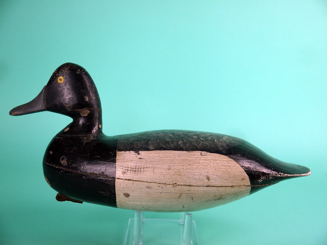 BLUEBILL DRAKE, H.V. SHOURDS: BLUEBILL DRAKE by Harry V. Shourds, Tuckerton, NJ. Working paint and good structural condition. Tight neck crack. Some shot marks to head and neck. Hollow construction. Retains inlet weight and