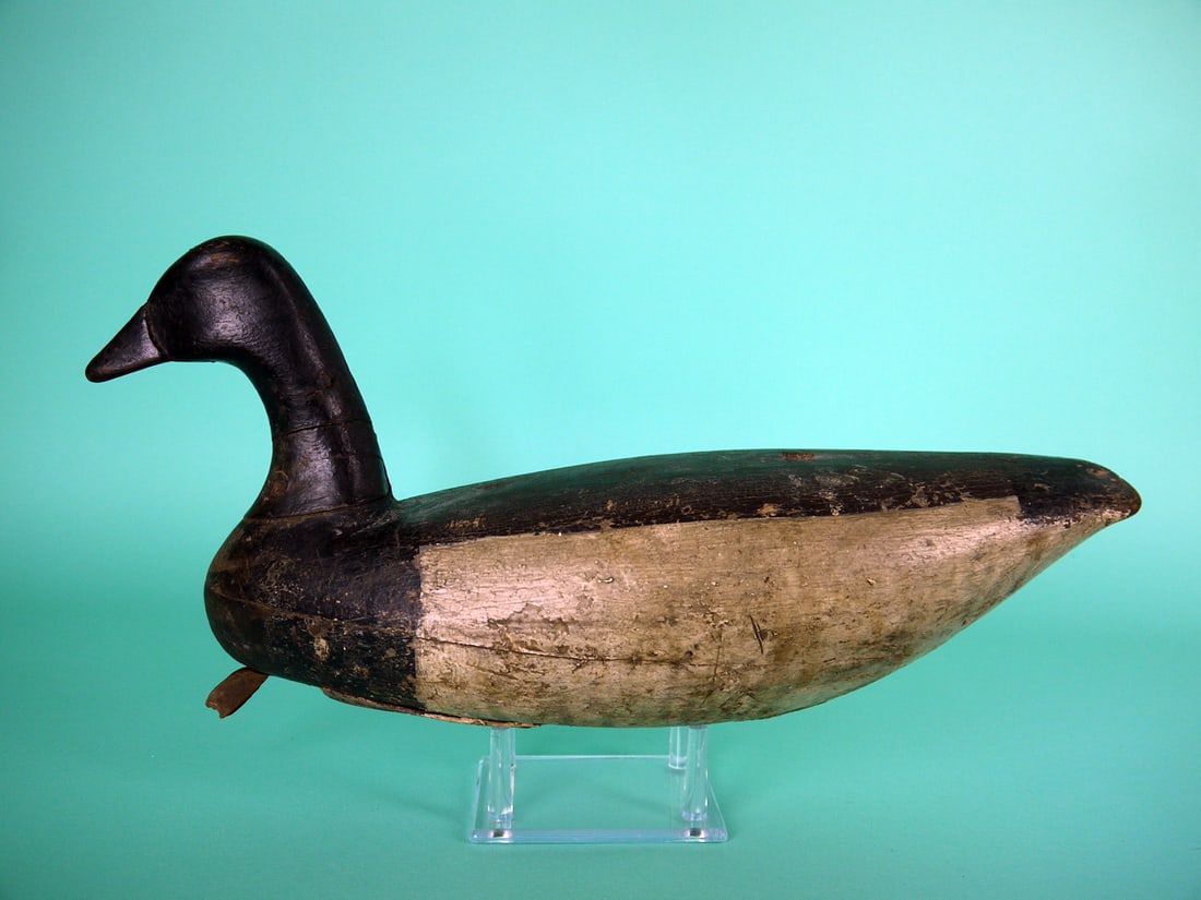 BRANT, BARNEGAT BAY (1 of 4)