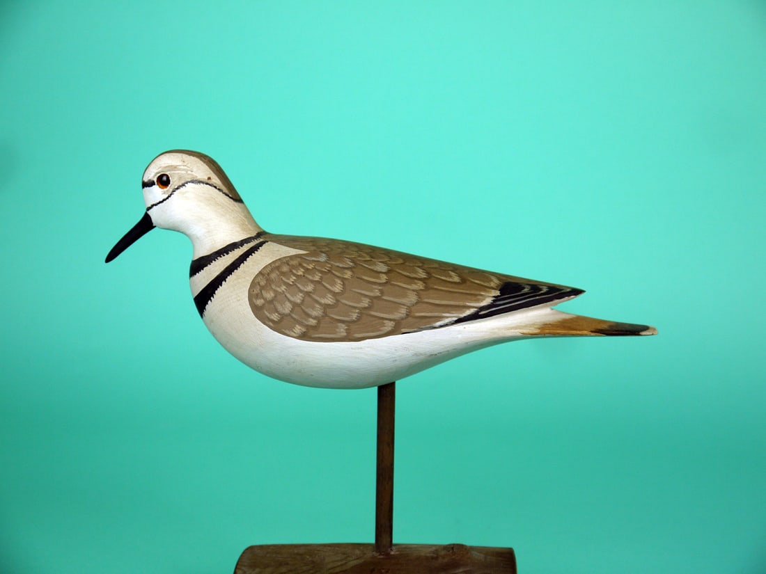 KILLDEER, H.V. SHOURDS: KILLDEER by Harry V. Shourds, Seaville, NJ. Very good original paint and structural condition. Individual painted feather detail to back. Split-tail model with glass eyes. Signed by the maker and date