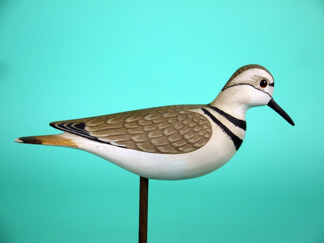 KILLDEER, H.V. SHOURDS - 2