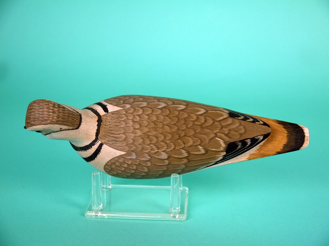 KILLDEER, H.V. SHOURDS - 3