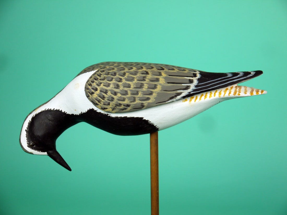BLACK-BREASTED PLOVER, H.V. SHOURDS: BLACK-BREASTED PLOVER by Harry V. Shourds, Seaville, NJ. Excellent original paint and structural condition. Feeding model with relief-carved wings and raised wing tips. Detailed painted feather work t