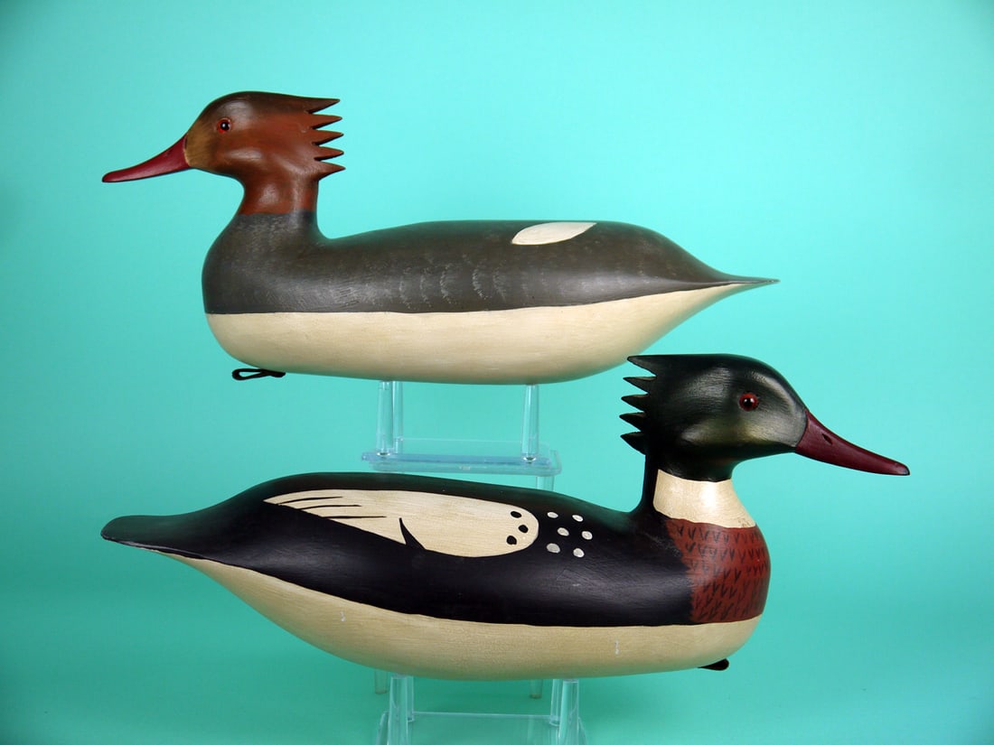 RED-BREASTED MERGANSER PAIR, H.V. SHOURDS: PAIR OF RED-BREASTED MERGANSERS by Harry V. Shourds, Seaville, NJ. Very good original paint and structural condition. Hollow construction. Turned heads with five-comb crests. Both with glass eyes and