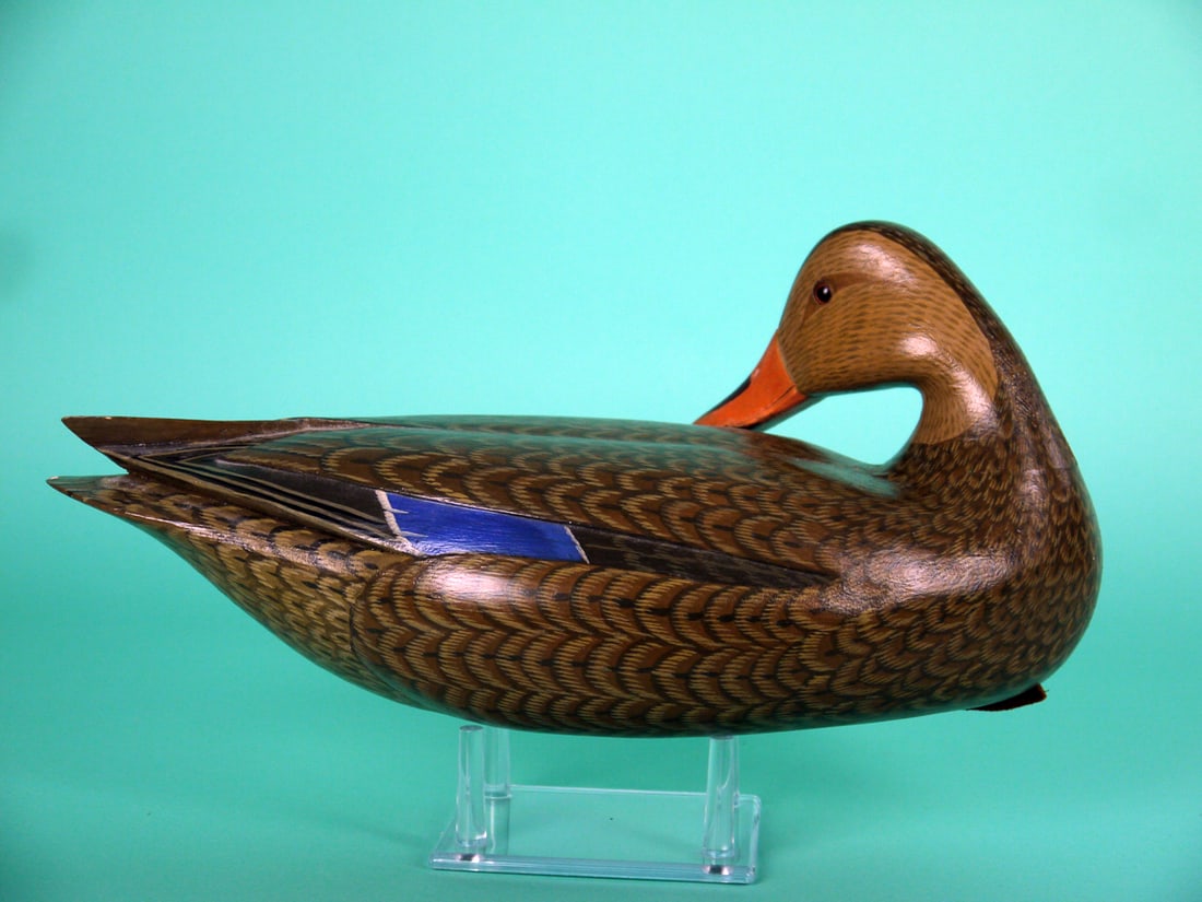 MALLARD HEN, H.V. SHOURDS (1 of 4)