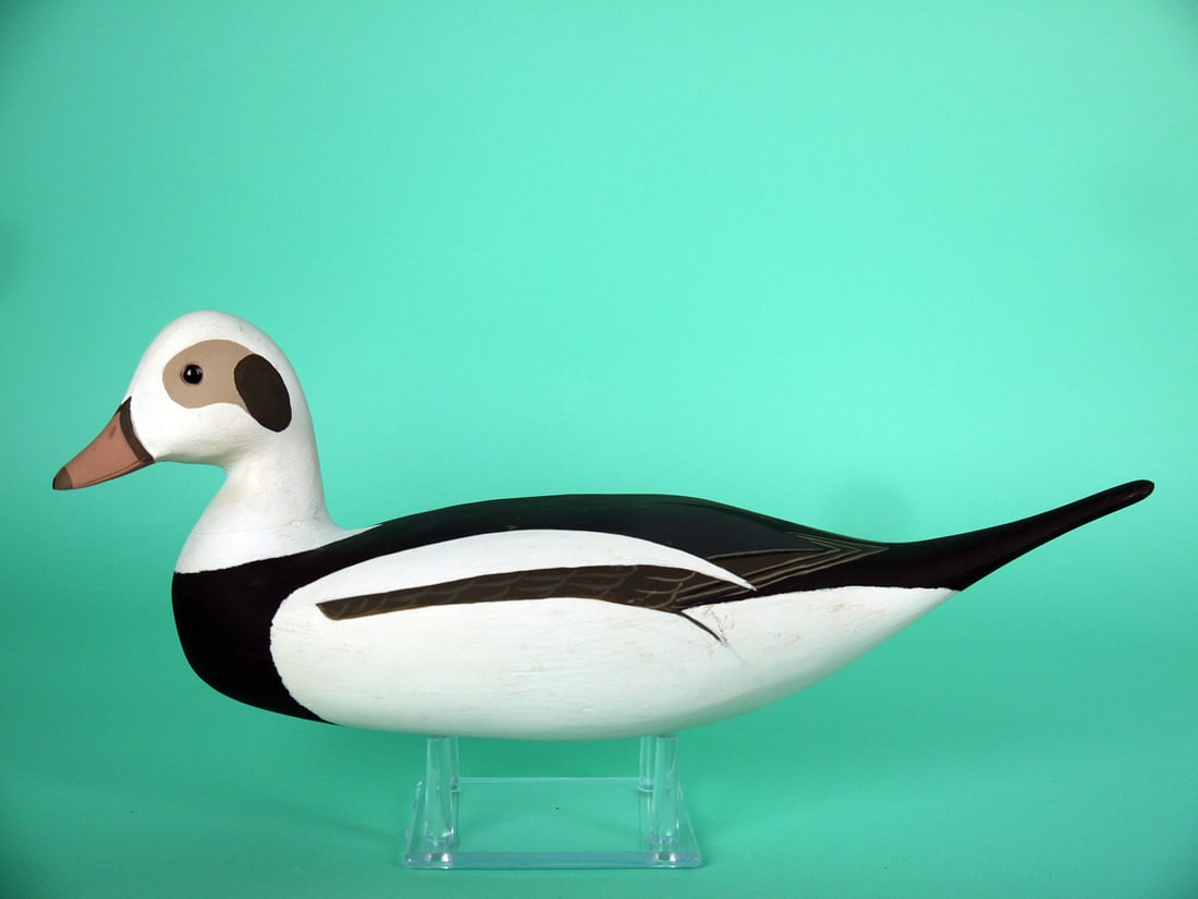 LONG-TAILED DRAKE, H. CONKLIN: LONG-TAILED DRAKE by Harry V. Shourds, Seaville, NJ. Very good original paint and structural condition. Hollow construction. Slightly turned head retains glass eyes and bill with carved nostril and ma