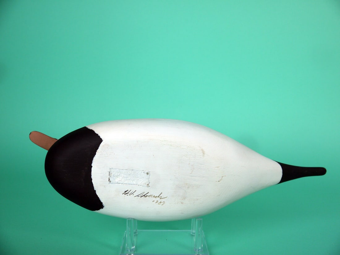 LONG-TAILED DRAKE, H. CONKLIN - 4