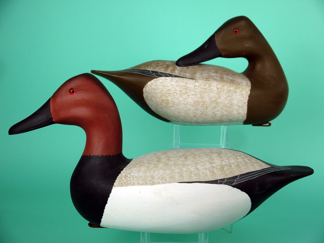 CANVASBACK PAIR, H.V. SHOURDS (1 of 4)