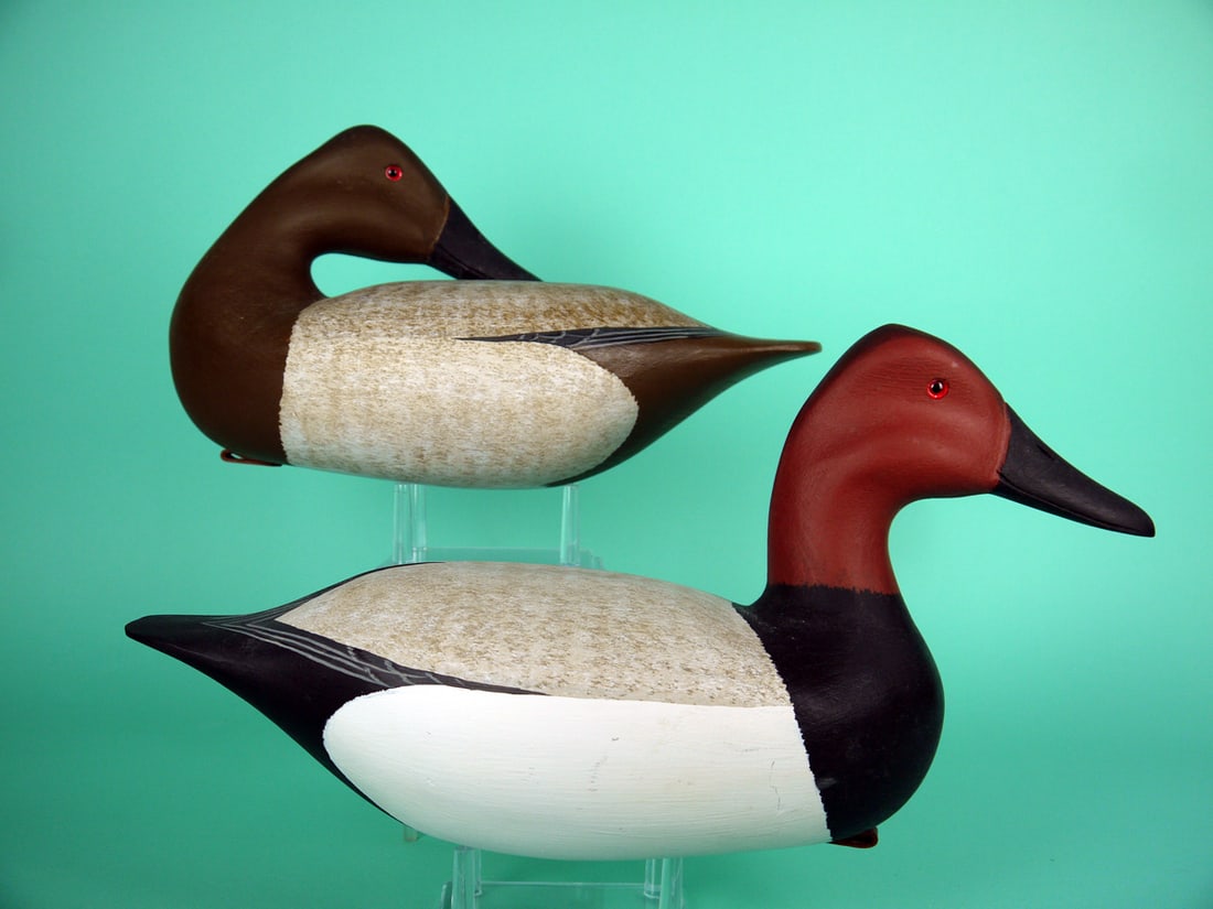 CANVASBACK PAIR, H.V. SHOURDS - 2