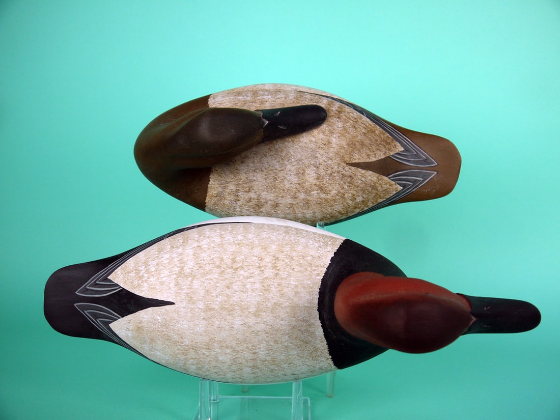 CANVASBACK PAIR, H.V. SHOURDS - 3