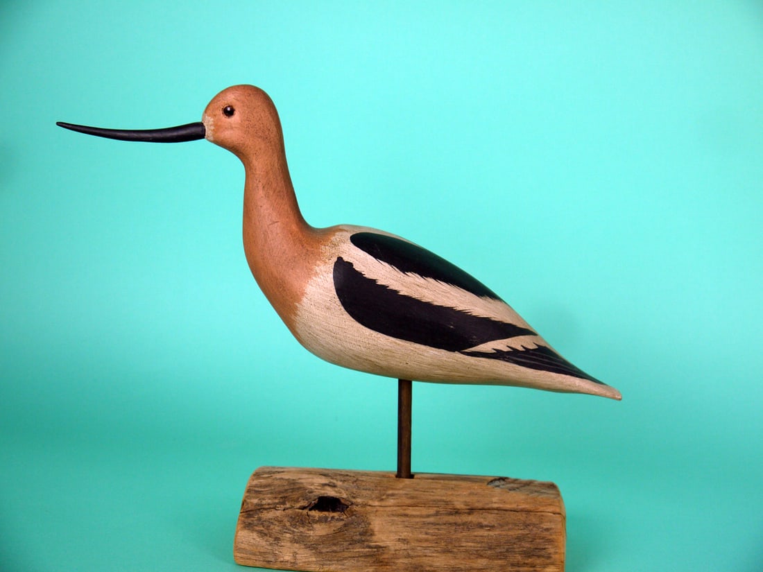AVOCET, H.V. SHOURDS: FINE AVOCET by Harry V. Shourds, Seaville, NJ. Very good original paint and structural condition. Retains upswept bill and glass eyes. Signed, branded HVS and dated 1991. Overall length is