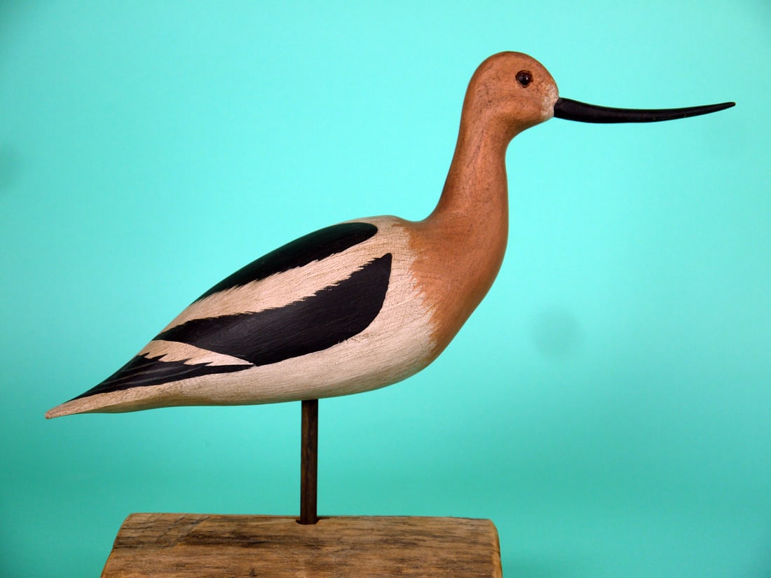 AVOCET, H.V. SHOURDS - 2