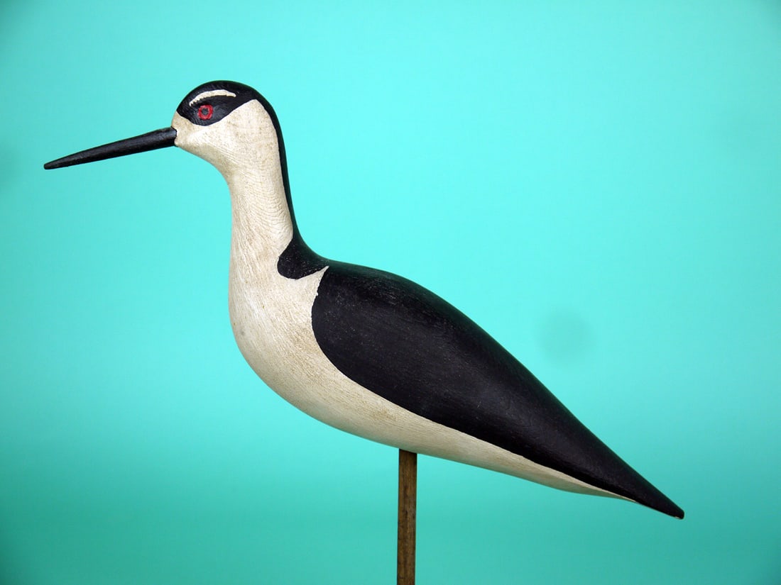 BLACK-NECKED STILT, H.V. SHOURDS: RARE BLACK-NECKED STILT by Harry V. Shourds, Seaville, NJ. Very good original paint and structural condition. Folk art style paint pattern and carved eye detail. Signed by the maker. Mounted atop a