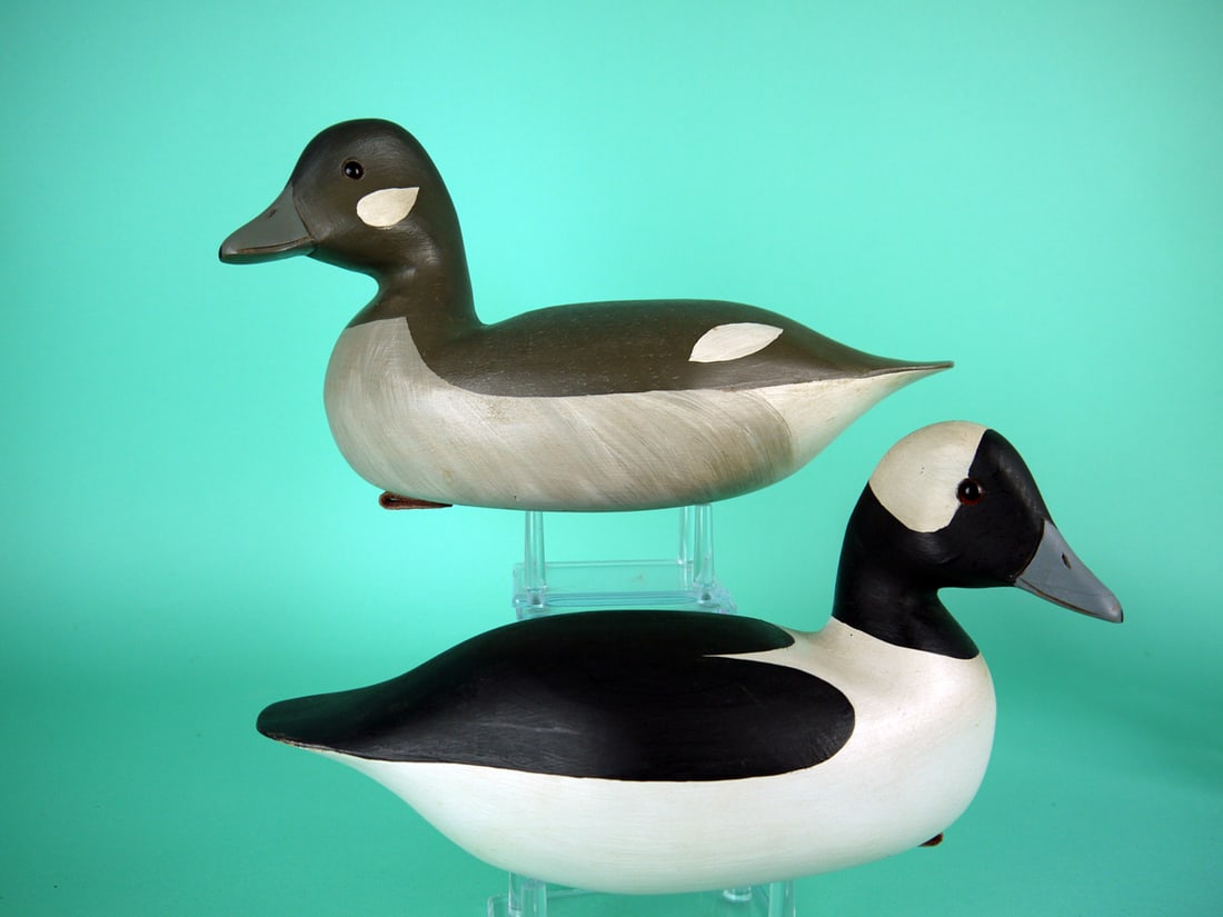 BUFFLEHEAD PAIR, H.V. SHOURDS: PAIR OF BUFFLEHEADS by Harry V. Shourds, Seaville, NJ. Very good original paint and structural condition. Tight check in drake's bill. Hollow construction. Both with turned heads that retain glass