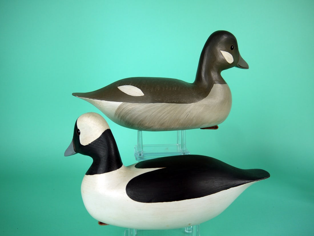 BUFFLEHEAD PAIR, H.V. SHOURDS - 2