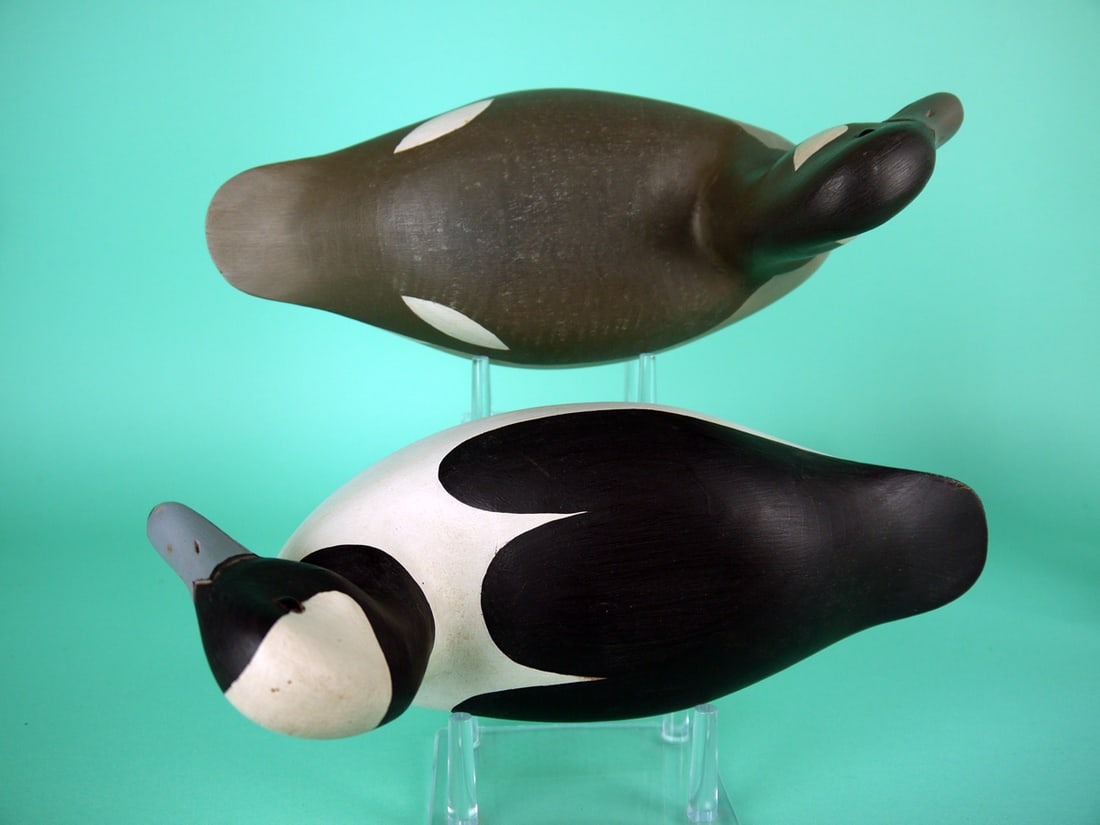 BUFFLEHEAD PAIR, H.V. SHOURDS - 3