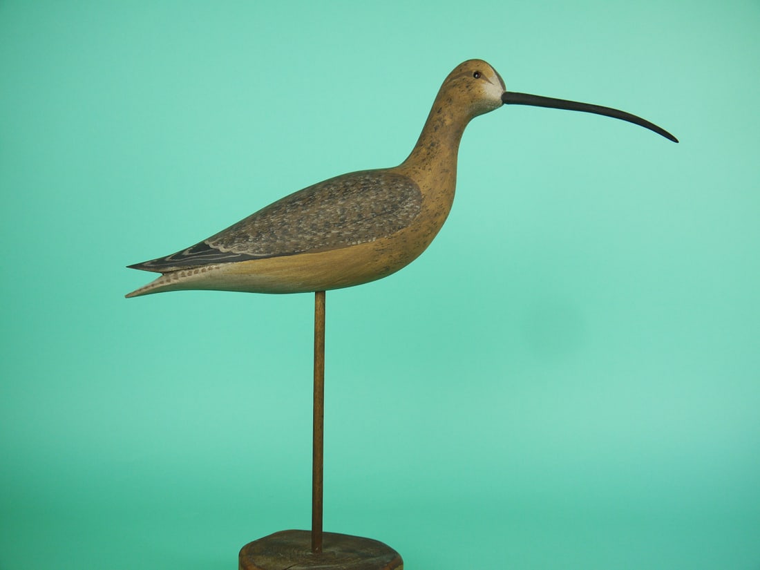 CURLEW, H.V. SHOURDS: CURLEW by Harry V. Shourds, Seaville, NJ. Excellent original paint and structural condition. Detailed painted feather work to body. Split-tail carving. Slightly turned head retains glass eyes. Signed