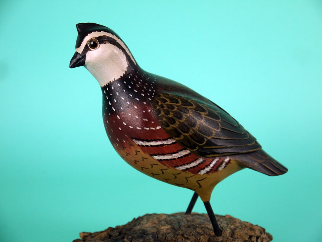 QUAIL, H.V. SHOURDS: RARE QUAIL by Harry V. Shourds, Seaville, NJ. Excellent original paint and structural condition. Relief-carved wings, carved wing tips and fluted tail carving. Detailed painted feather work overall. R